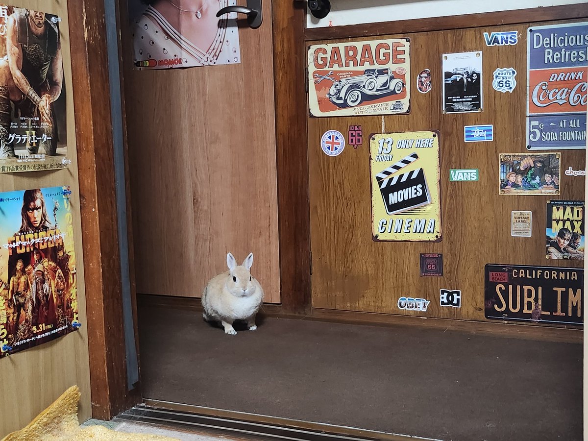 さっきゅんちゃん RIKI ギャラリー