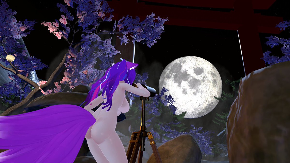 The full moon sure looks amazing...