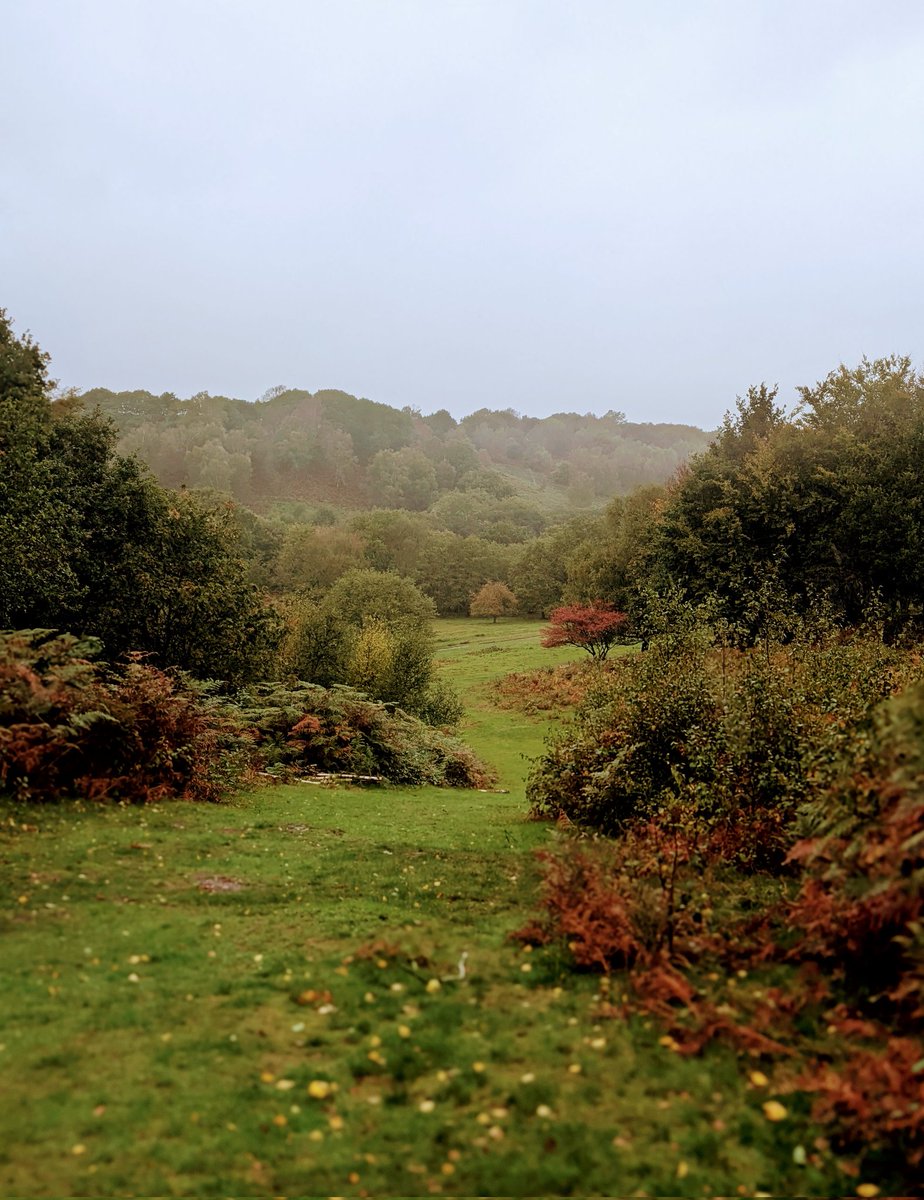 _rach_ael's tweet image. But did I accidentally stumble across Hobbiton? Maybe.