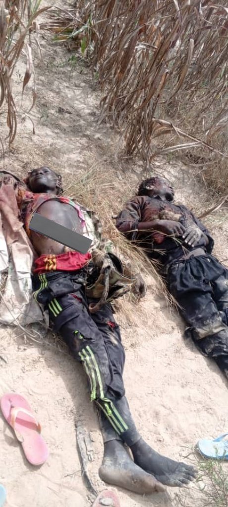 HumanityPurpose's tweet photo. #UPDATE
En images les combatants #BokoHaram tués par les #FDS dans une #embuscade au petit matin aujourd'hui 04.10.2025 dans les environs de #Ziziya.
Ils auraient été pourchassés par les #COVI de #Kourgui où ils ont tenté et échoué un #enlèvement.
@HonneurFidelite @ElogeEt @hrw https://t.co/4xHTww1xve