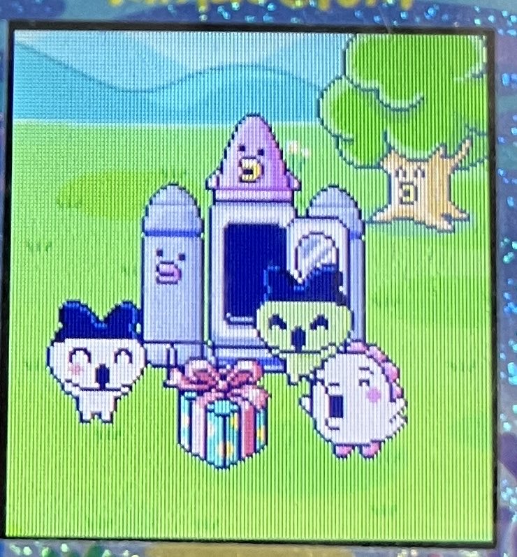 せびれっちになったよ！