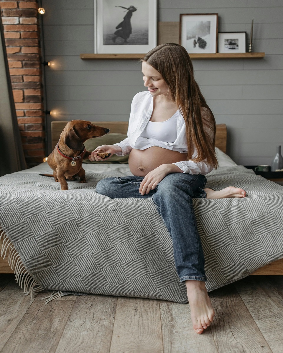 talent_dogs's tweet photo. 3-3-3 Rule For Dogs: 10 Powerful Facts Every Dog Owner Should Know
https://t.co/hrYNxdN6VT
#333RuleForDogs
#333ruleanxietydogs
#333rulepuppy
#333rule
#talentdogs
#dogtalent
@talentdog
@dog
@dogs
@realDogsHouse
@contextdogs
@WORKDOGS_X
@dog_rates
@TweeetsOfDogs
@DennisWormald https://t.co/7ZoAU1VIzp