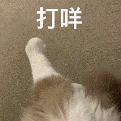 泡泡莓 tweet media