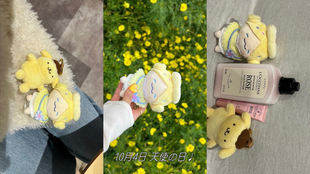 _ao_kiiro's tweet photo. もこちゃんお誕生日おめでとう💛🪽
10月4日天使の日にSoruleも祥生おすすめの香りもプリン先輩もお迎えできてはぴねしゅ〜♩
#happymocoday https://t.co/VdvIPZLQx3