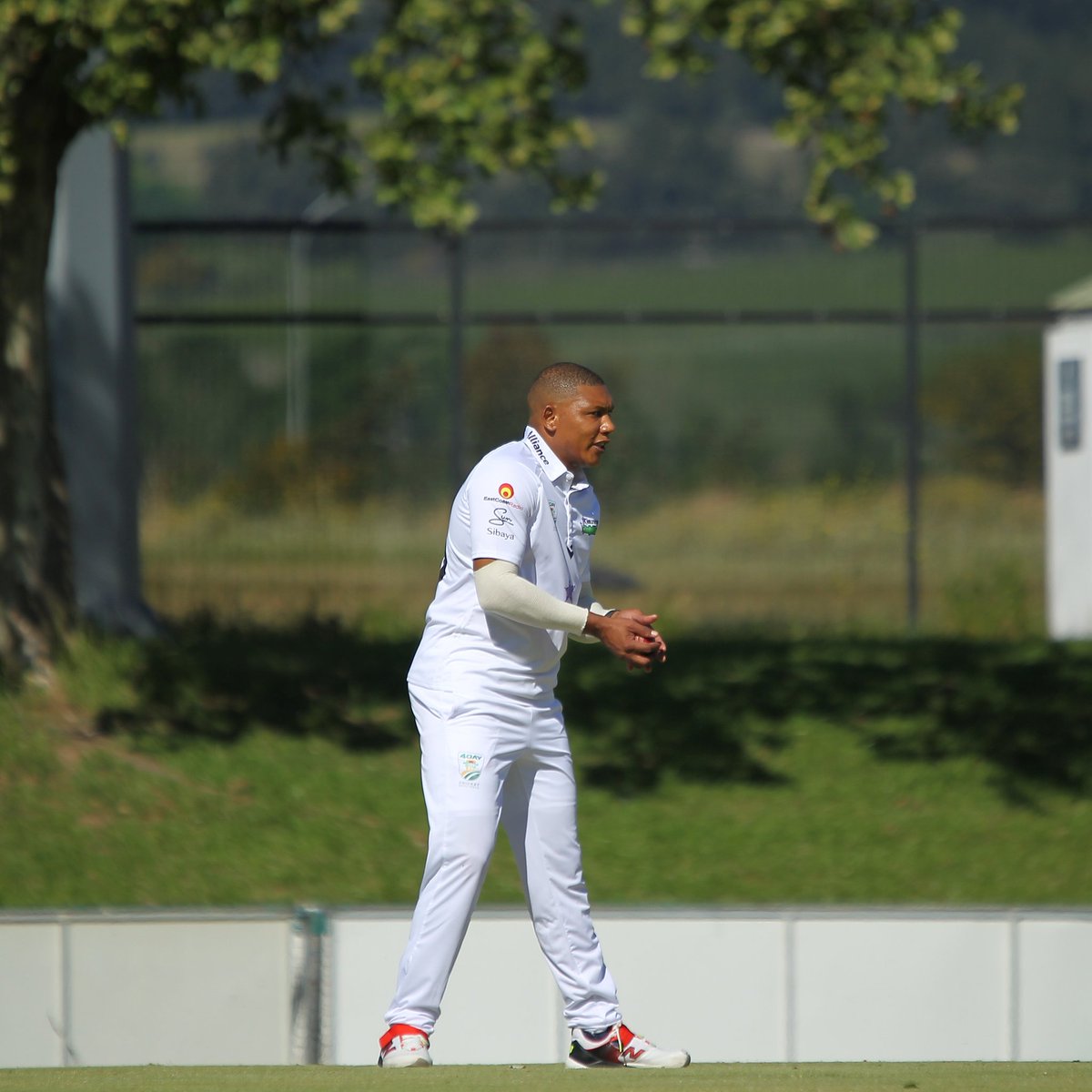 DolphinsCricket's tweet image. A strong 2nd session on Day 3 from our Hollywoodbets Dolphins Men bagging 4 wickets for 105 runs. 

Goldrush Boland are 392/5 at Tea leading by 202 runs

#GoDolphins🐬
#ReadyForMore
#CatchTheThrill
#WozaNawe
#BeyondTheBoundary
#GreatnessBeginsHere