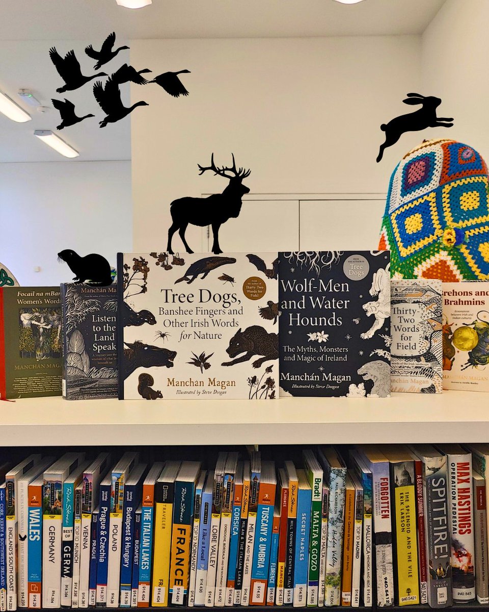 fingallibraries's tweet photo. The changing of the seasons feels like the perfect time to practice our cúpla focail here in Leabharlann Bhaile Dúill with a reread of Manchán Magan's magical collection of nature and mythology inspired books.
#FingalLibraries #Gaeilge #BaldoyleLibrary https://t.co/2dNS38WuKl