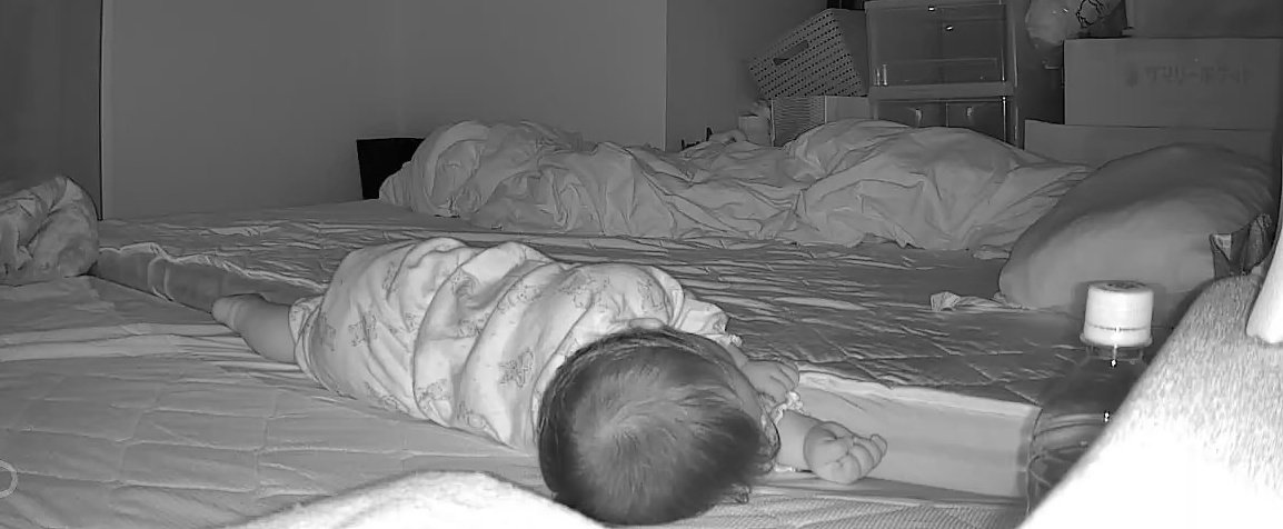 おててが可愛くて…
ずっと見ちゃう