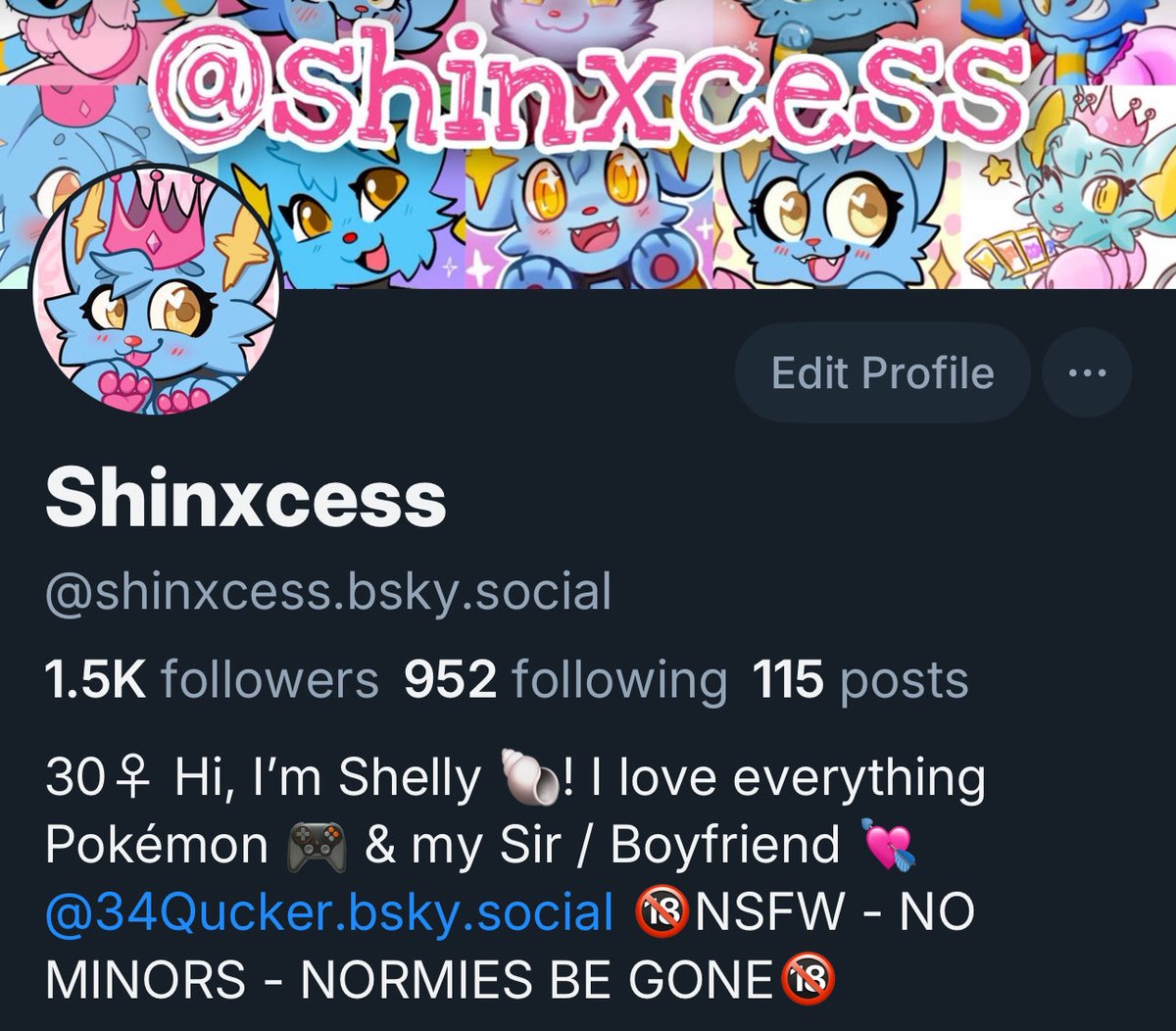 Shinxcess tweet media