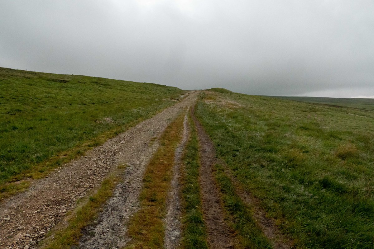 Chris Arnade 🐢🐱🚌 tweet media