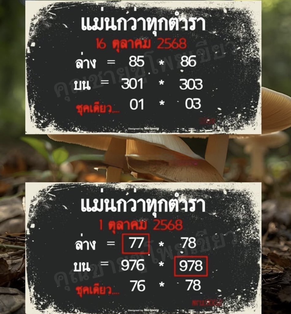 🇹🇭🇹🇭ขนมทัย 16/10/68🇹🇭🇹🇭
📌แนวทางเลขเด็ดเลขดัง มาลุ่นกันครับ

พิกัด :  2 ตัว 110 3 ตัว 1100
📌rb.gy/dllo89

#หวยรัฐบาล #หวยรัฐบาล #หวย
