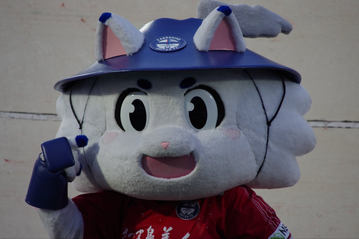 to_v_11's tweet photo. #鹿児島ユナイテッドFC 
#ゆないくー 
#ゆないくーおねえさん https://t.co/VMcSwwwXIZ