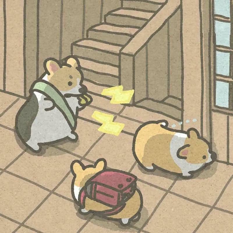 stay at home everyday