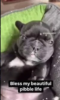 Wash my belly