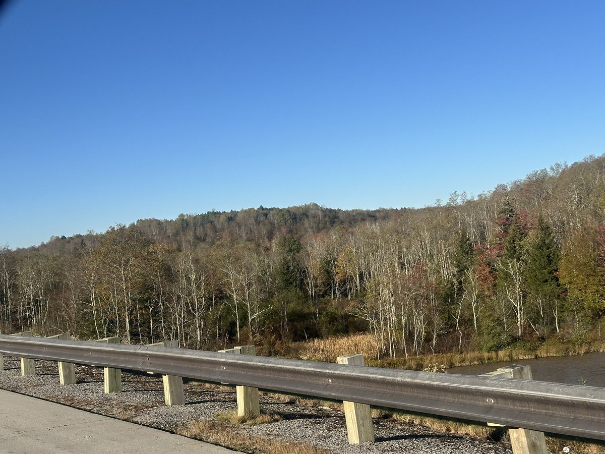 forecaster25's tweet photo. Ran up to Davis, WV this morning - and unfortunately the fall color situation is quite bad. 

Severe drought here has effectively ended the color. Probably the worst year I’ve ever seen in this region. https://t.co/cPsR29wr6M