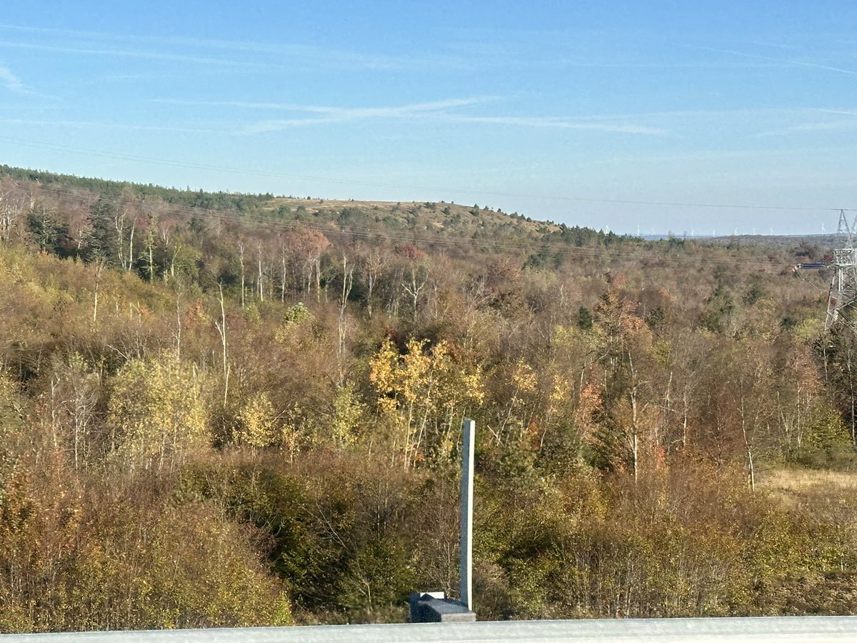 forecaster25's tweet photo. Ran up to Davis, WV this morning - and unfortunately the fall color situation is quite bad. 

Severe drought here has effectively ended the color. Probably the worst year I’ve ever seen in this region. https://t.co/cPsR29wr6M