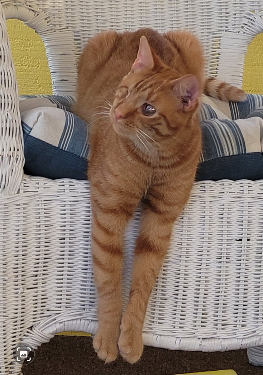 The_DerpyBruce tweet media