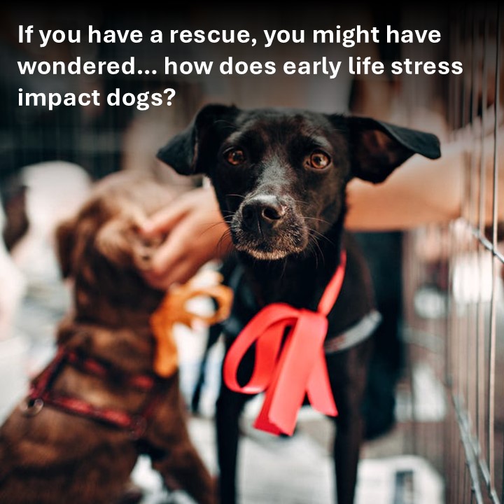 Hecht Lab tweet media