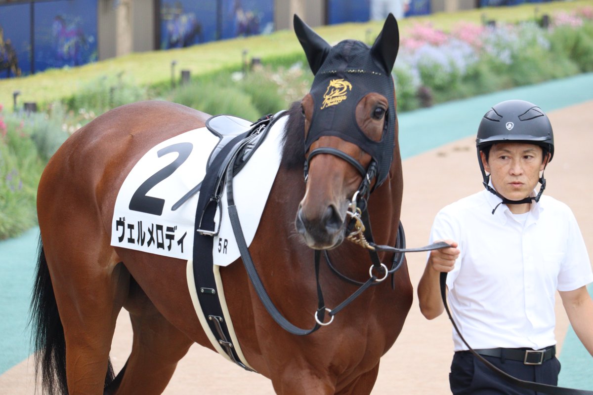 soiree1215's tweet image. 2025.10.4 東京5R 2歳新馬
ヴェルメロディと吉村誠之助騎手
半姉にペコリーノロマーノがいる血統
初陣は関西からの参戦で6着と頑張りました

#ヴェルメロディ
#吉村誠之助
#モーリス産駒