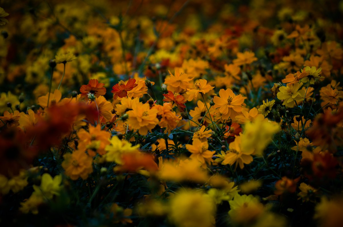 laycomathi's tweet image. 