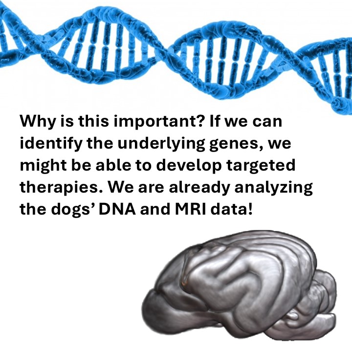 Hecht Lab tweet media