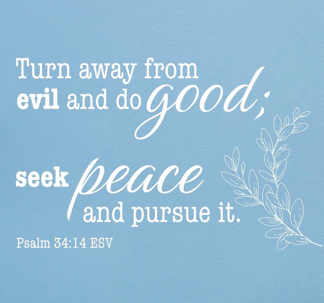 Psalm 34:14 NIrV
Turn away from evil, and do good. Look for peace, and go after it.
tbibles.com/Ylvi6