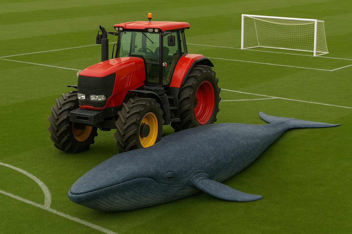 Øystein Haara tweet media