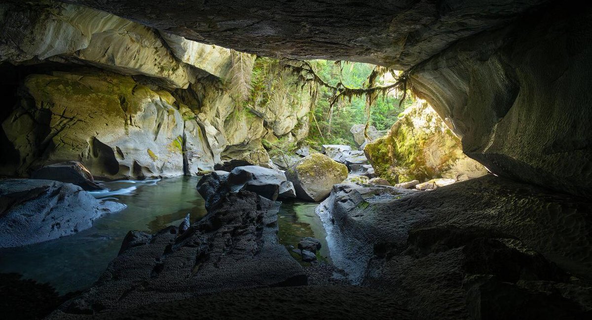 MovieNight_apps's tweet photo. Looking out from a river cave in the temperate rainforest. Vancouver Island, BC [OC] [1920x1036] via /r/EarthPorn https://t.co/I1SIiEKyo7

#photography #photooftheday #photographer #photoshoot #picoftheday #art #beautiful
#instagood #photo #nature #travelphotography
#landscapep… https://t.co/xXtNfIoBVU