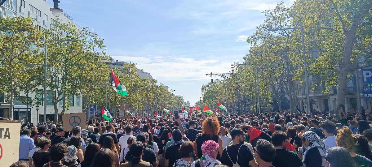 Barcelona con Palestina y contra el genocidio
#freepalesti̇ne #FreeGaza #flotillaglobalsumud