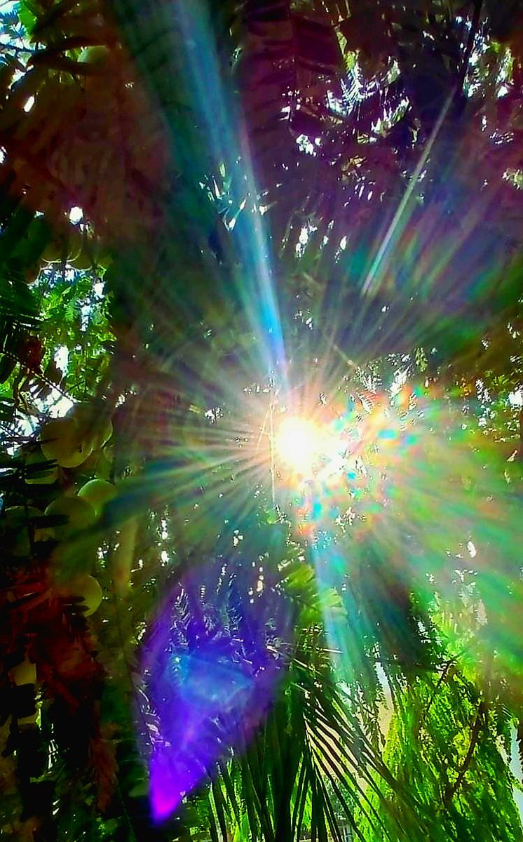 Truthvibeswrite's tweet image. Guided by
a pendulum
of spirits blessed
Nestled
in woods sacred
Listen
a sparrow's
chirp
"shun nostalgia for the wicked"
Love's #elastic
immune
to every bite
of poison sarcastic
shun darkness away
as autumn leaves
Feel
how
a humble heart heaves
#vss365
#FoxProse
#fairytalepoets