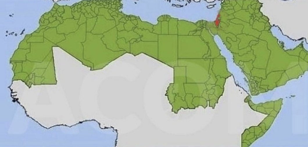 Otger Cataló llll🏴󠁧󠁢󠁥󠁮󠁧󠁿 33 tweet media