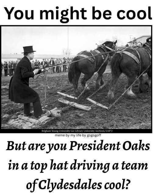 GuyInco15542744's tweet image. 