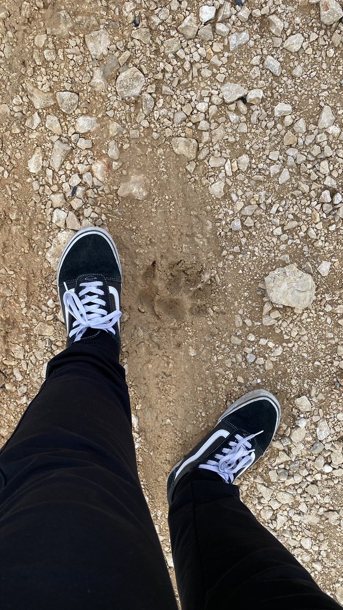 hoş geldin der buyur ederiz