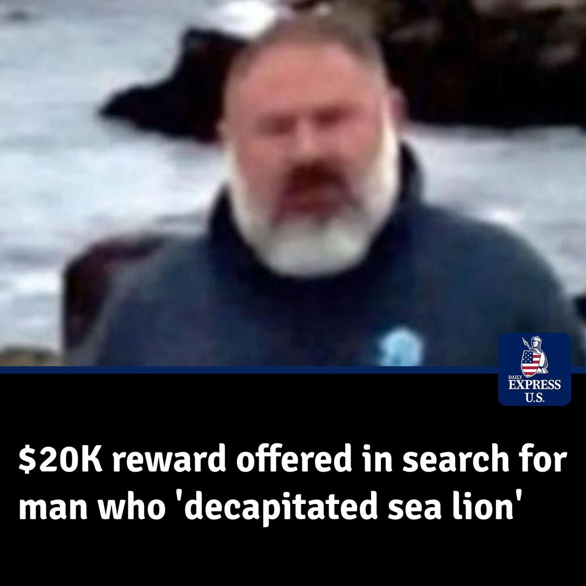 domdyer70's tweet image. A $20,000 reward has been offered for information on a man spotted decapitating a sea lion with a hunting knife on a California beach in July