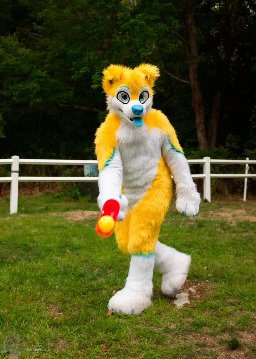 opsecFig's tweet image. This is what peak male performance looks like

📸: @PoisonedShutter