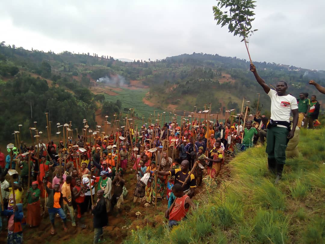 CnddFddButanyer's tweet photo. #Kayanza 4/10/2025
Inyuma yokugendera umurima w'amavoka wa komine uri ku mutumba wa #Ryamukona, Umunyamabanga wa @CnddFdd muri komine yagendeye ikindi gice cawo Kiri kumutumba #Rorero.Iyo Mirima yose uko Ari 2 ingana na ha 12 ikazoterwamwo ibiti 7000 vy'amavoka.
@R_Ndikuriyo https://t.co/ueYEDIHsjL