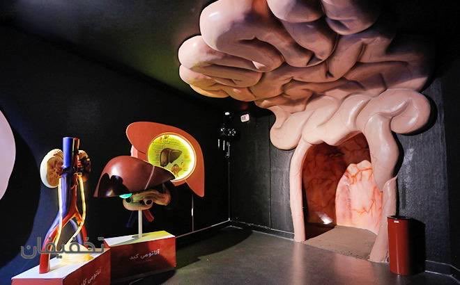 برای بچه ای که کنجکاوه بدنشو بشناسه