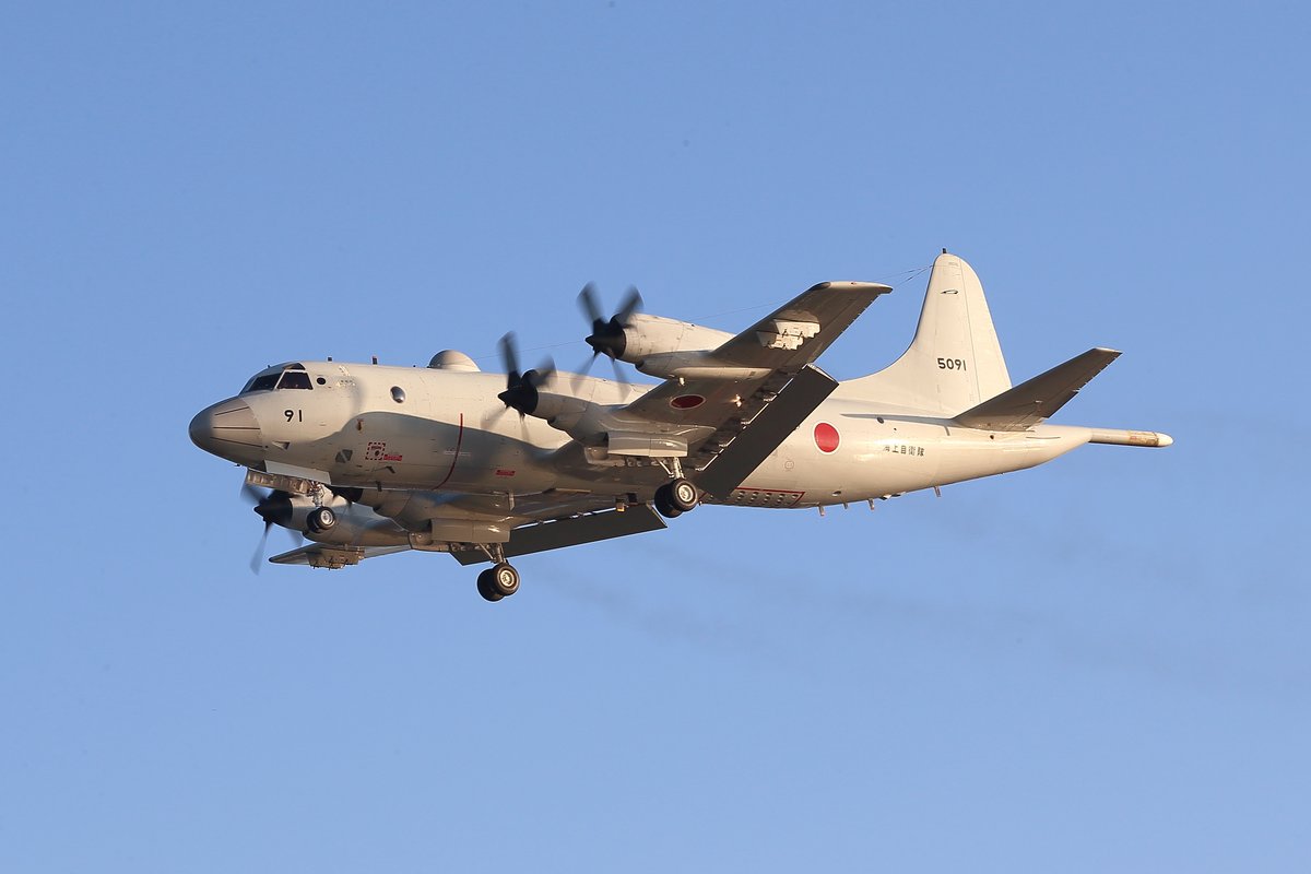 nbm_n_nori's tweet image. 「P-3C 91」(5091)　朝時間のお帰り場面    2025. 10. 4            　　　                                                     

#八戸航空基地 
#p3c 
#RJSH