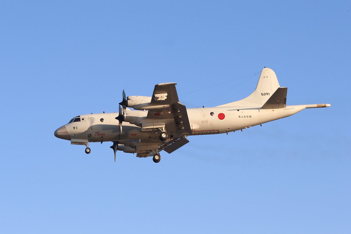 nbm_n_nori's tweet image. 「P-3C 91」(5091)　朝時間のお帰り場面    2025. 10. 4            　　　                                                     

#八戸航空基地 
#p3c 
#RJSH