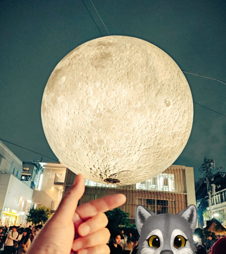 oXakugirl's tweet photo. 月をちょちょちょっと

#ムーンアートナイト下北沢 https://t.co/iw6XATKNbz