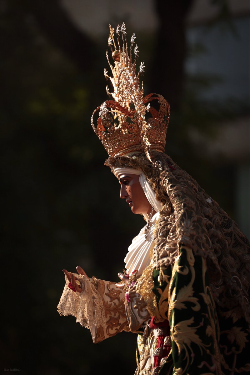 fransantiph's tweet photo. Sevilla es testigo de un día histórico. 

#LaMisióndelaEsperanza https://t.co/WOSOZC68EE