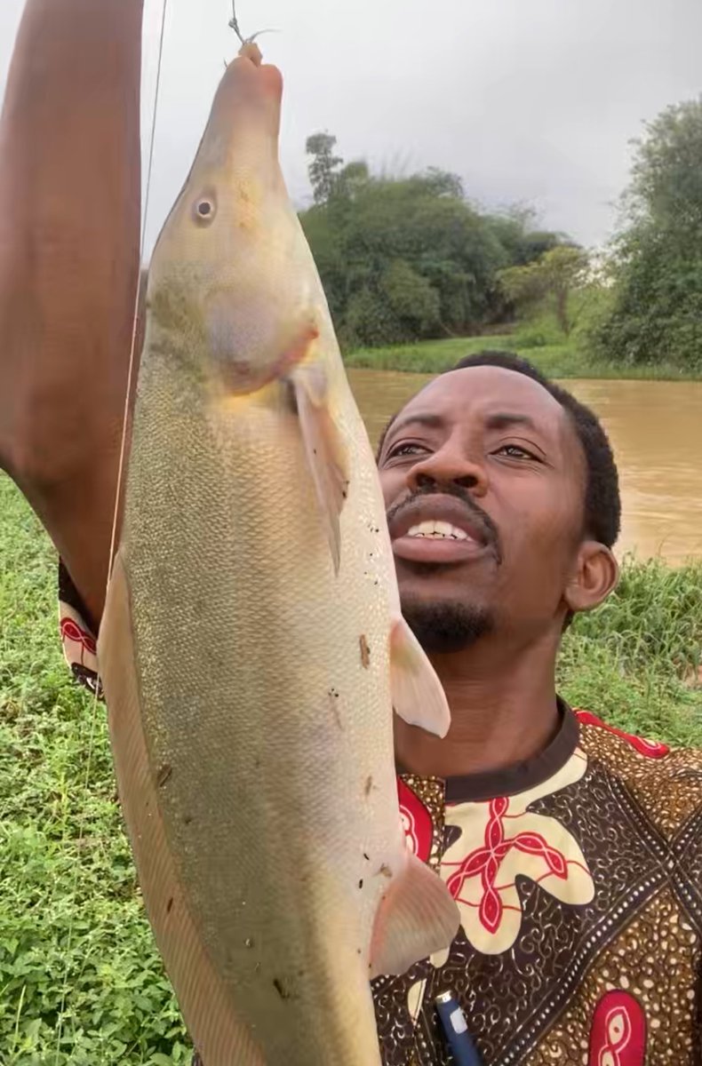 simeonboxco's tweet photo. How it started.       vs.     How it's going 
#fishingtrip #catchAndCook https://t.co/KKjDI3zGVH