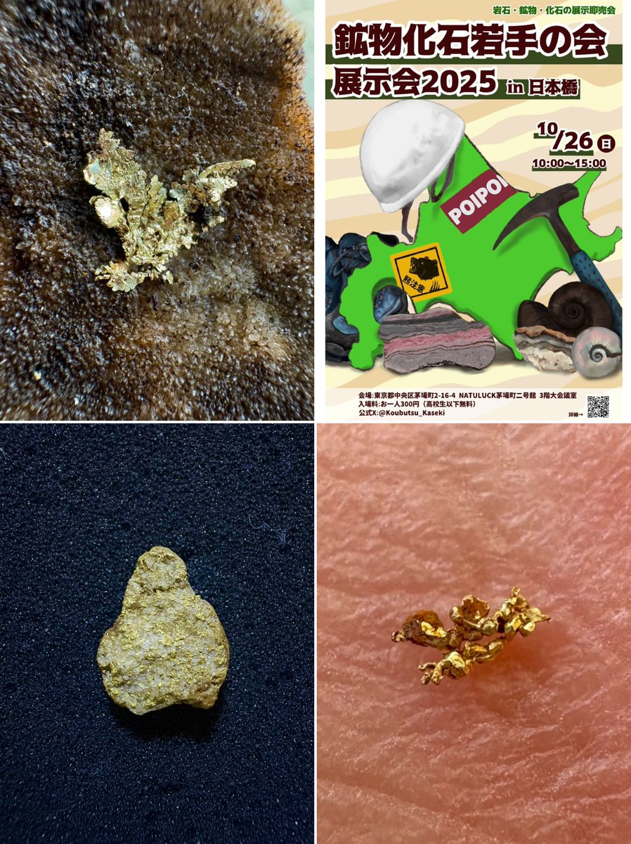 趣味の砂金採り (@Ore_smelting) / Posts / X