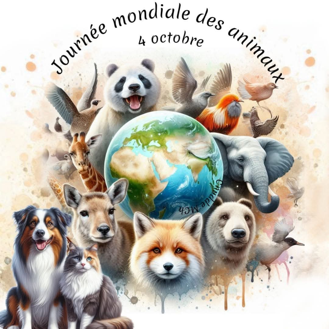 On a pas deux coeurs ,un pour les animaux, un pour les humains 
On a un coeur ou on en a pas ❤
Lamartine