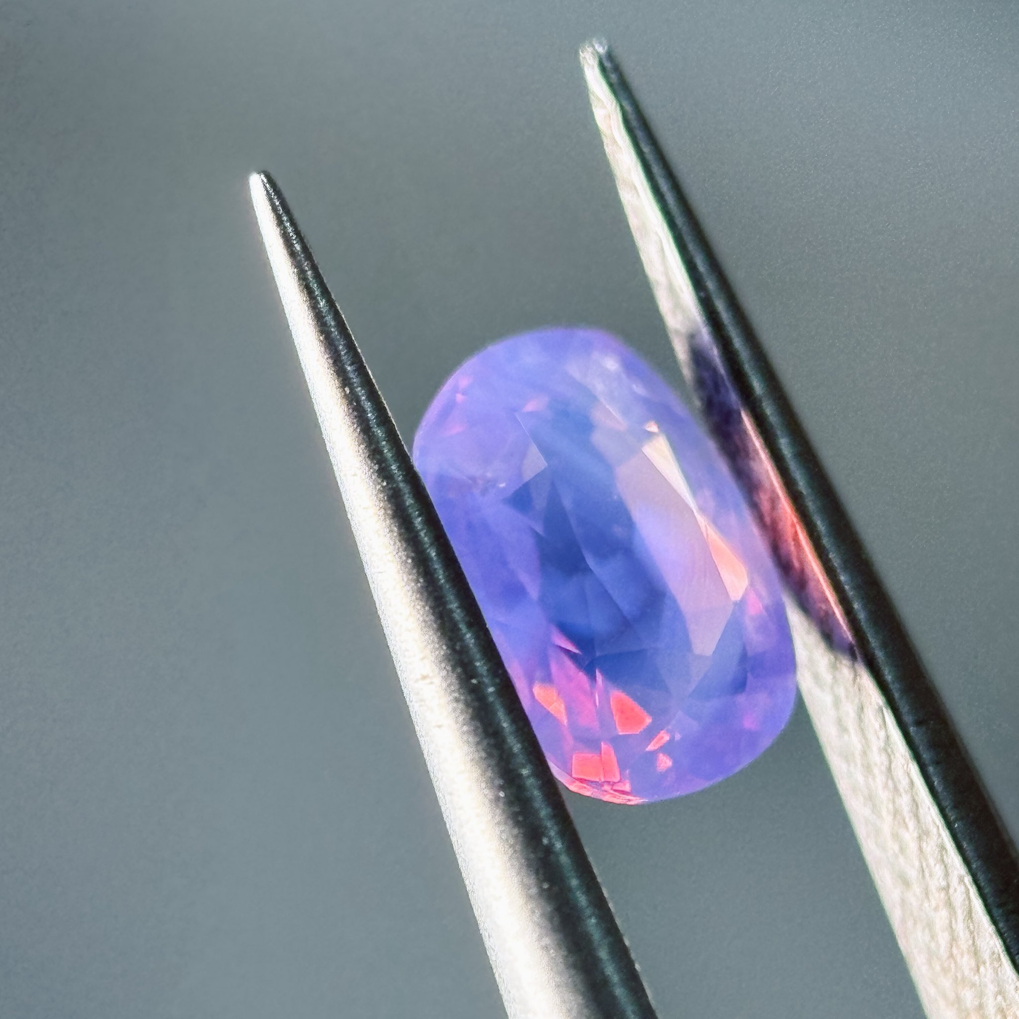 ♡プルメリア♡ nnira on X: 