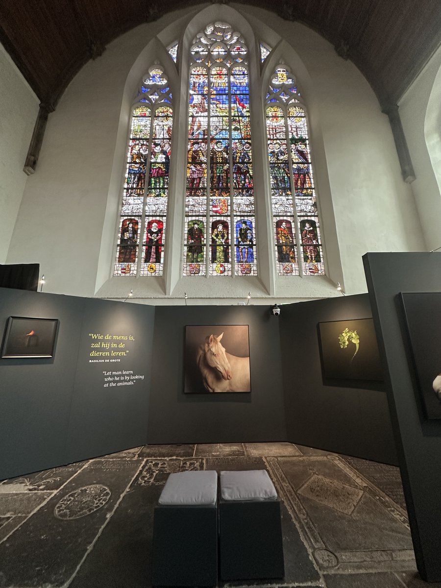 #onthewall Until October 11, 2025 my solo exhibition ‘In the Light of Creation’ at <a href="/OudeNieuweKerk/">Oude & Nieuwe Kerk</a> Delft can still be visited
#exhibition #mariececilethijs #oudekerkdelft