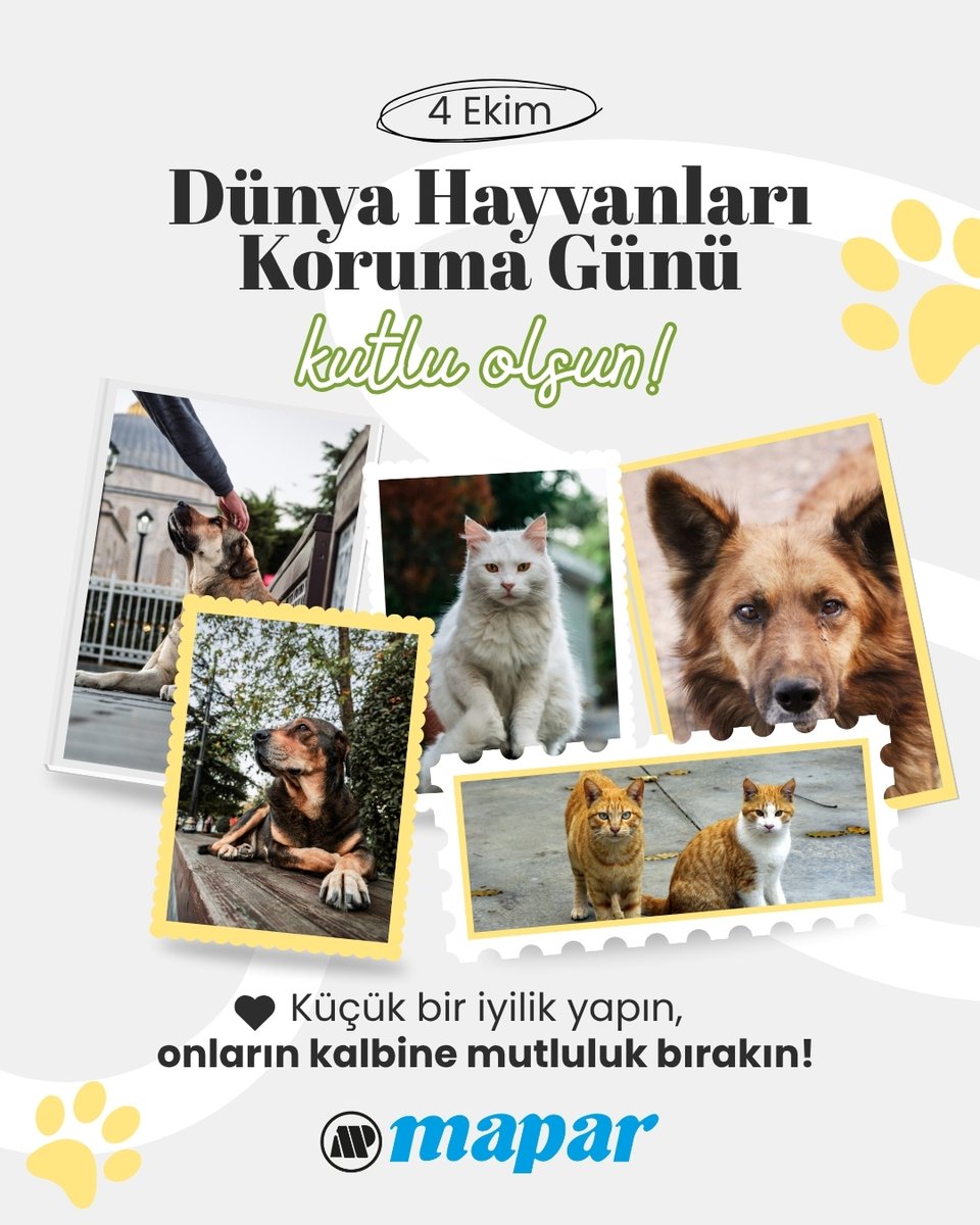 4 Ekim
Dünya Hayvanları Koruma Günü
Kutlu Olsun!
Küçük bir iyilik yapın, onların kalbine mutluluk bırakın.

#4ekim #korumagünü🐶🐱🦁🐯🐴🦓
 #4EkimHayvanlarıKorumaGünü