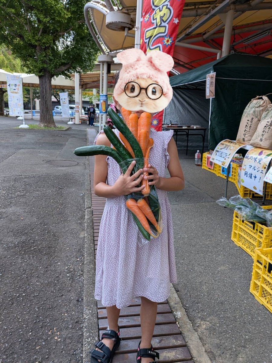 詰め放題 - Search / X