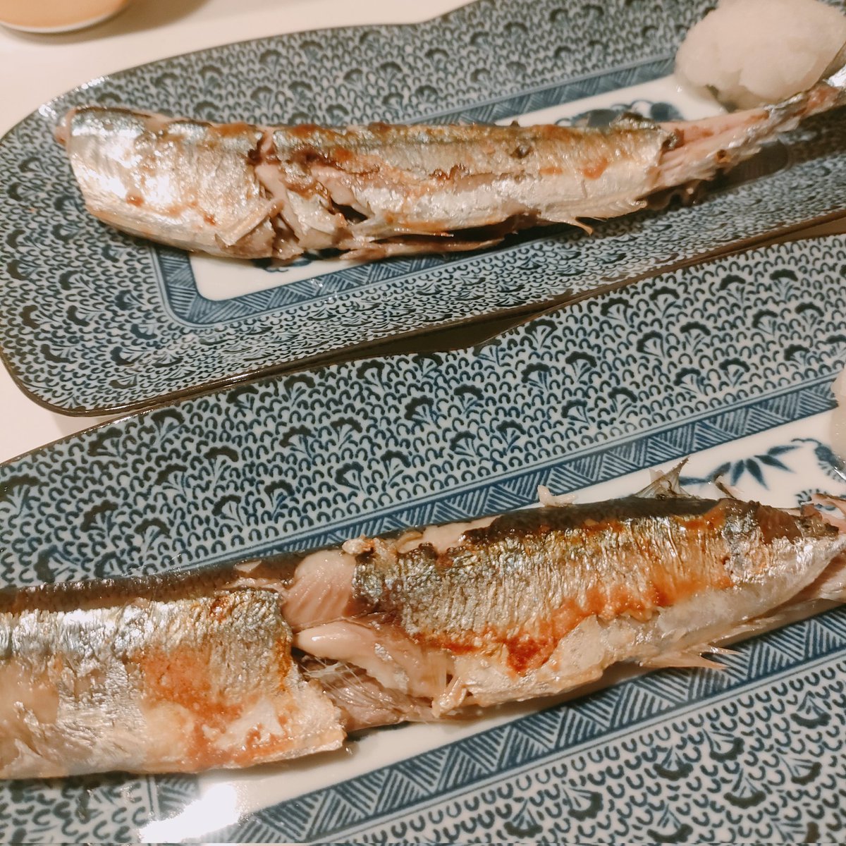 さんま焼くの下手すぎ問題𓆟