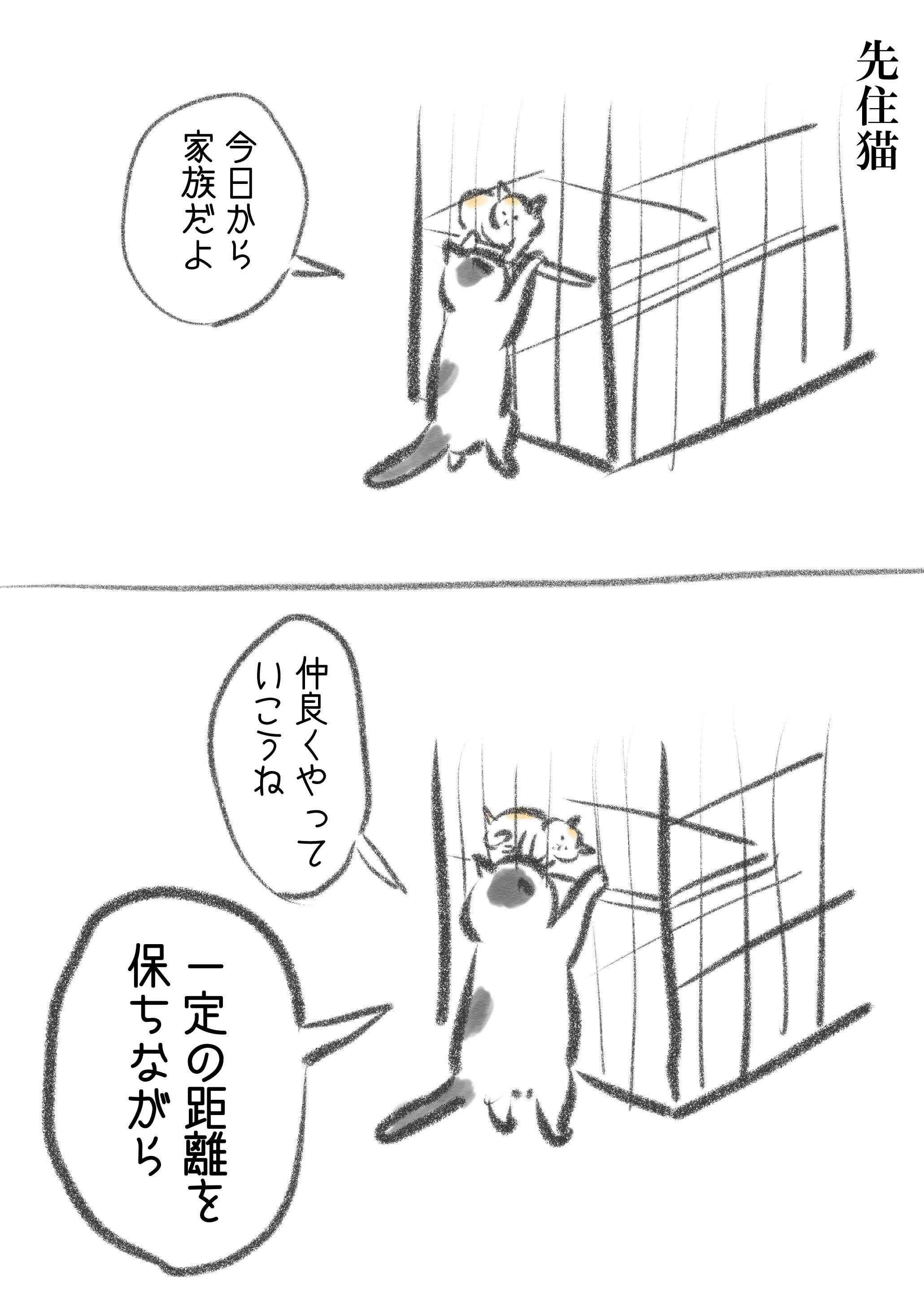 ♡にゃんこ♡ にゃうこ (@nia_7053) / X