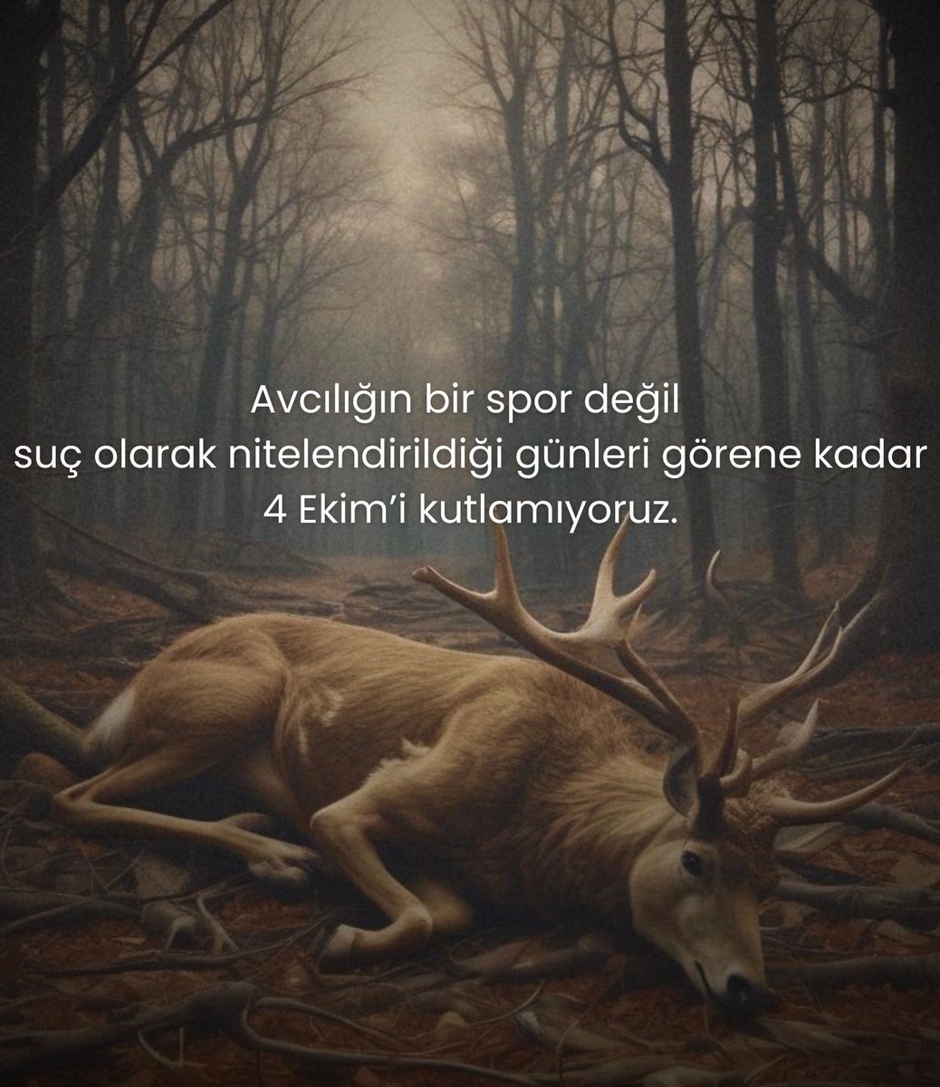 guclusinemm's tweet photo. Hayvanları mal olarak gören bu düzen sebebiyle kaybettiğimiz tüm türlerin yaşam hakkını koruyamadığımız için 4 Ekim Dünya Hayvan Günü’nü kutlamıyoruz.  

 #4EkimHayvanlarıKorumaGünü https://t.co/L0dmmgb0xL